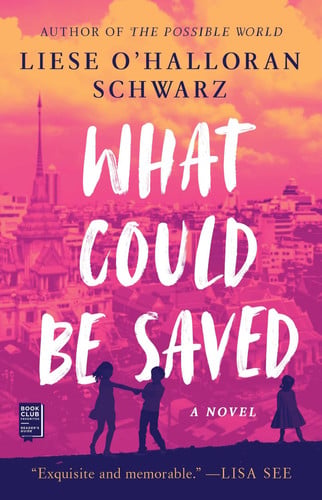 What Could Be Saved A Novel