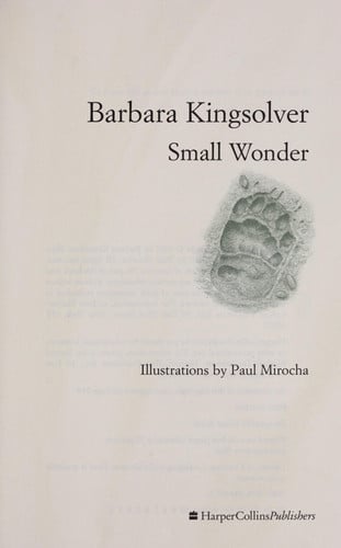 Small Wonder - Essays