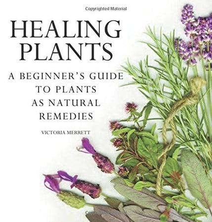 Healing Plants A Beginner's Guide to Using Plants for Natural Remedies