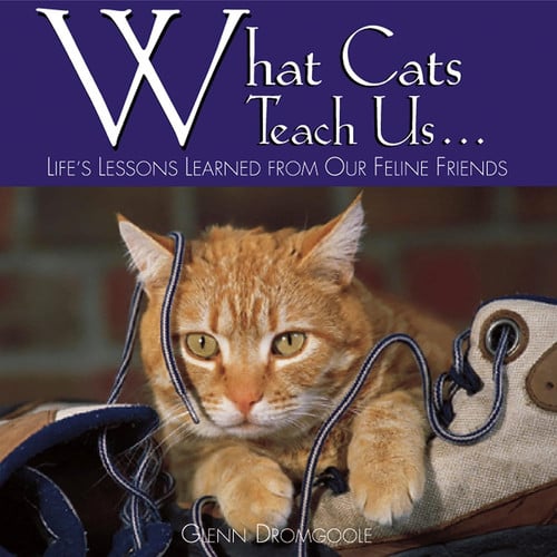 What cats teach us--: life's lessons learned from our feline friends