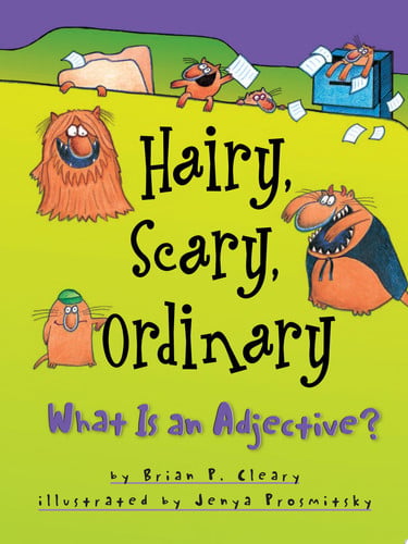 Hairy, Scary, Ordinary What Is an Adjective?