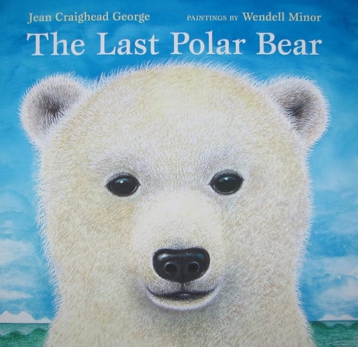 The last polar bear