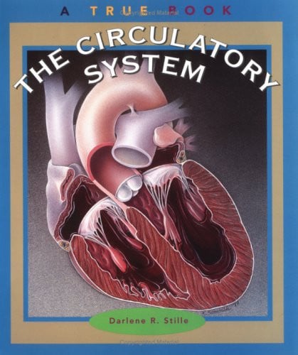 The Circulatory System