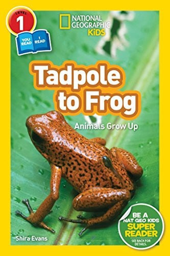 Tadpole to frog: animals grow up