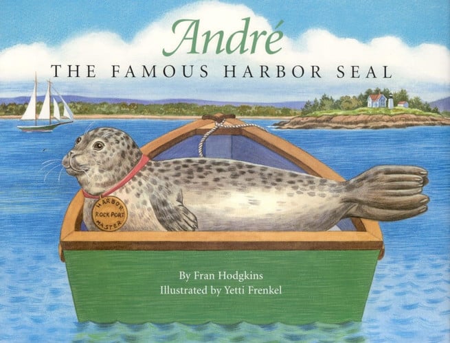 André: the famous harbor seal