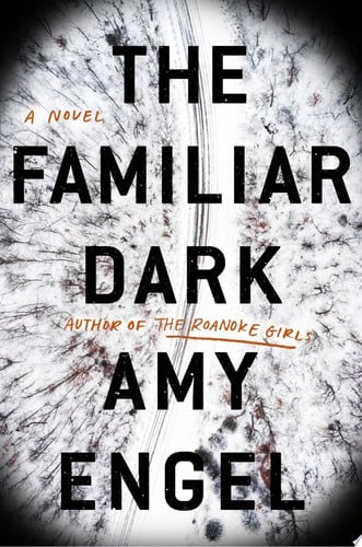 The familiar dark: a novel