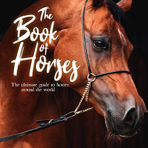The Book of Horses The Ultimate Guide to Horses Around the World