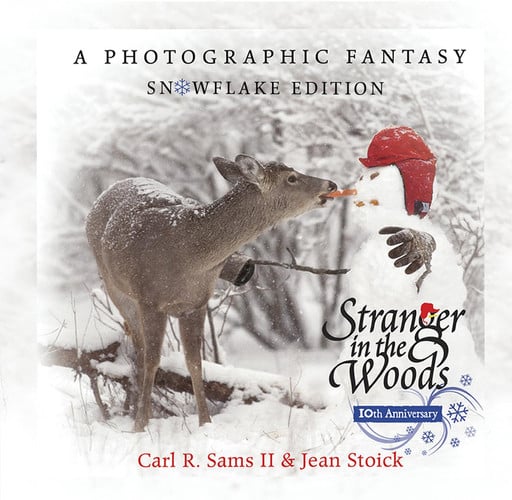 Stranger in the Woods A Photographic Fantasy