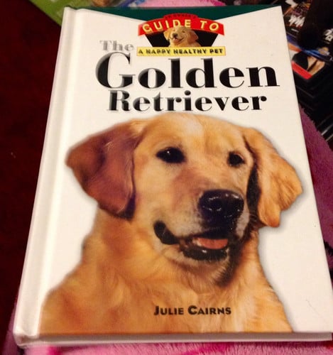 The Golden Retriever