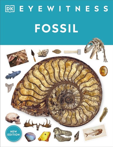 Fossil