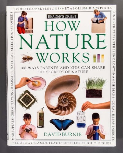 How nature works