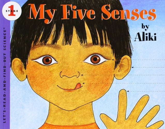 My five senses