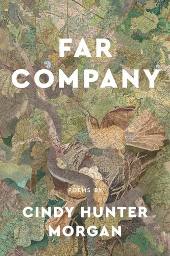 Far Company: poems