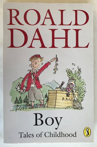 Boy Tales of Childhood
