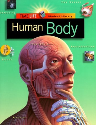 Human body