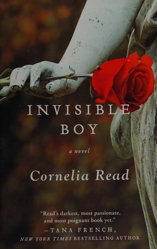 Invisible boy