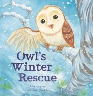 Owl's winter rescue
