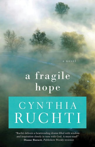 A fragile hope: a novel
