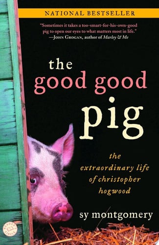 The good good pig: the extraordinary life of Christopher Hogwood