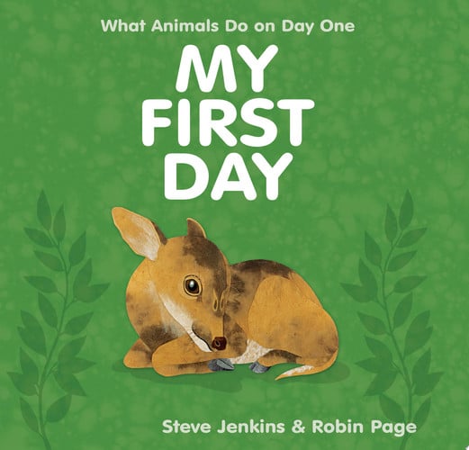 My first day