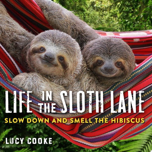 Life in the sloth lane: slow down and smell the hibiscus