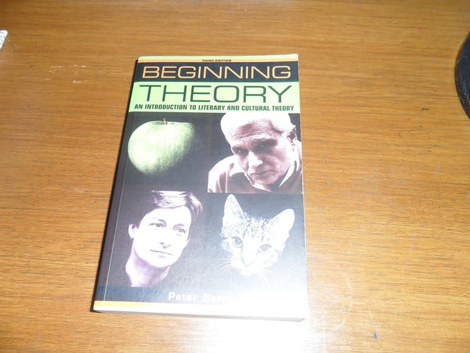 Beginning theory : an introduction to literary and cultural theory