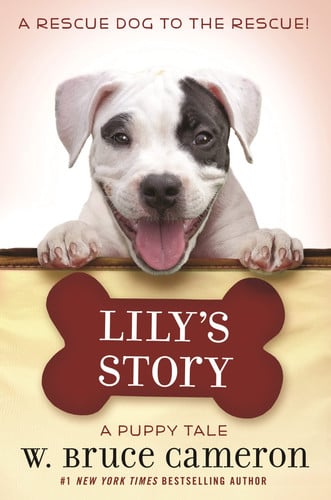 Lily's Story A Puppy Tale