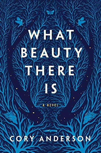 What Beauty There Is A Novel