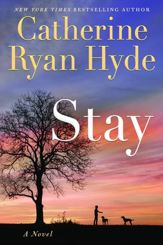 Stay: a novel
