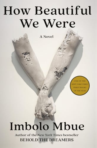 How beautiful we were: a novel