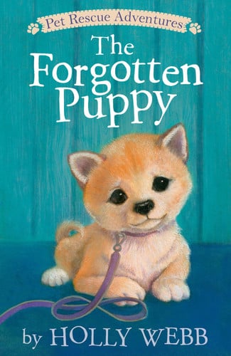 The forgotten puppy