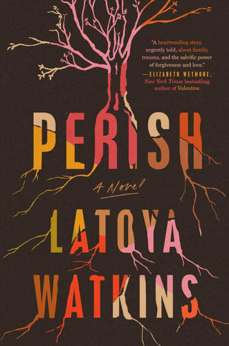 Perish: a novel