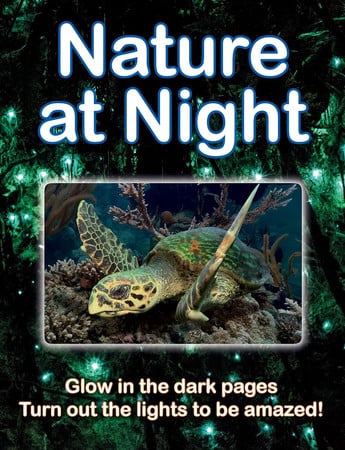 Nature at night