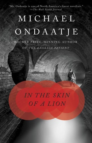In the skin of a lion: a novel