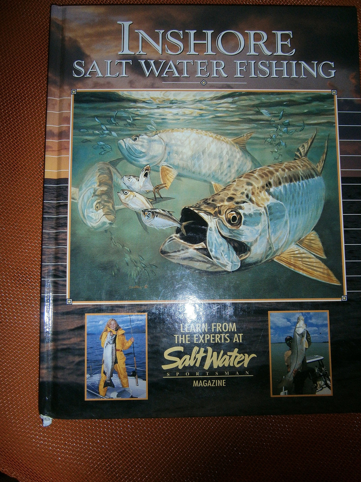 Inshore Salt Water Fishing Learn from the Experts at Salt Water Magazine