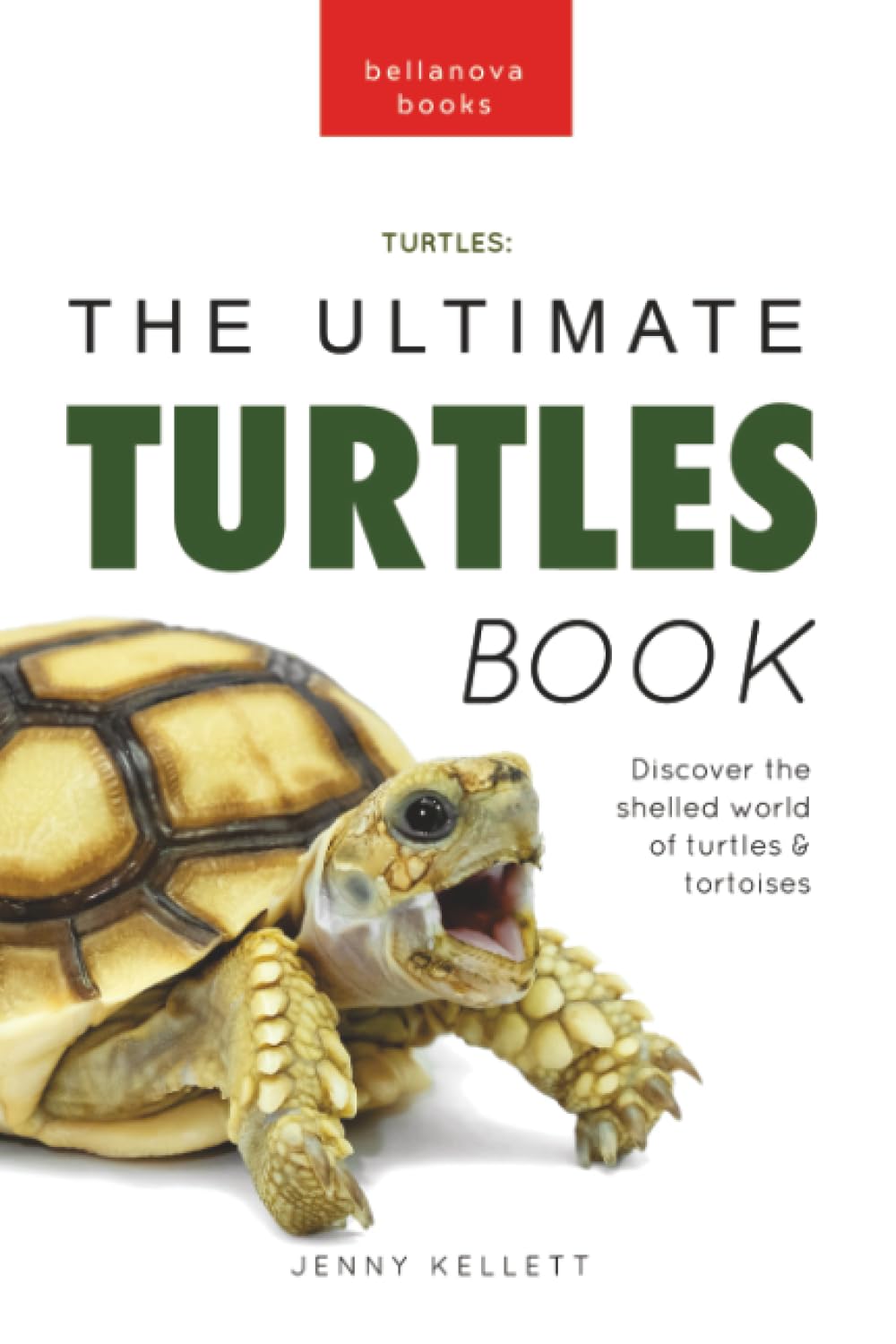 Turtles The Ultimate Turtles Book: Discover the Shelled World of Turtles & Tortoises (Animal Books for Kids)
