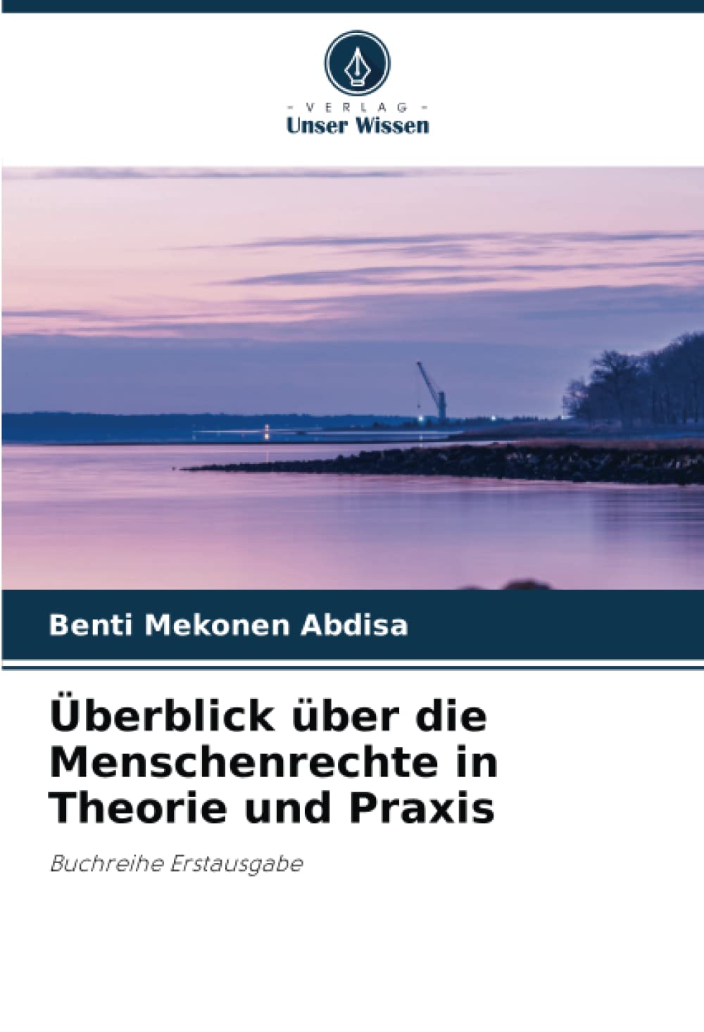 Überblick über die Menschenrechte in Theorie und Praxis: Buchreihe Erstausgabe (German Edition)