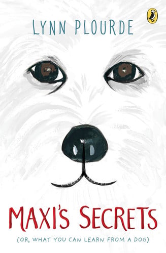 Maxi's Secrets, or, What You Can Learn From a Dog