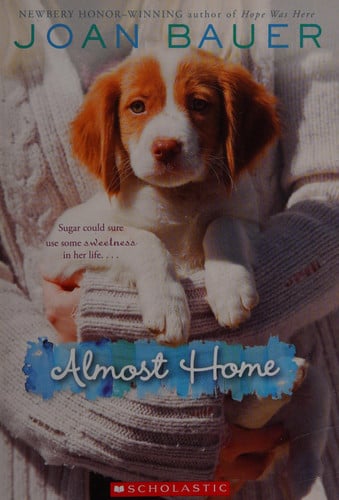 Almost Home Book Room