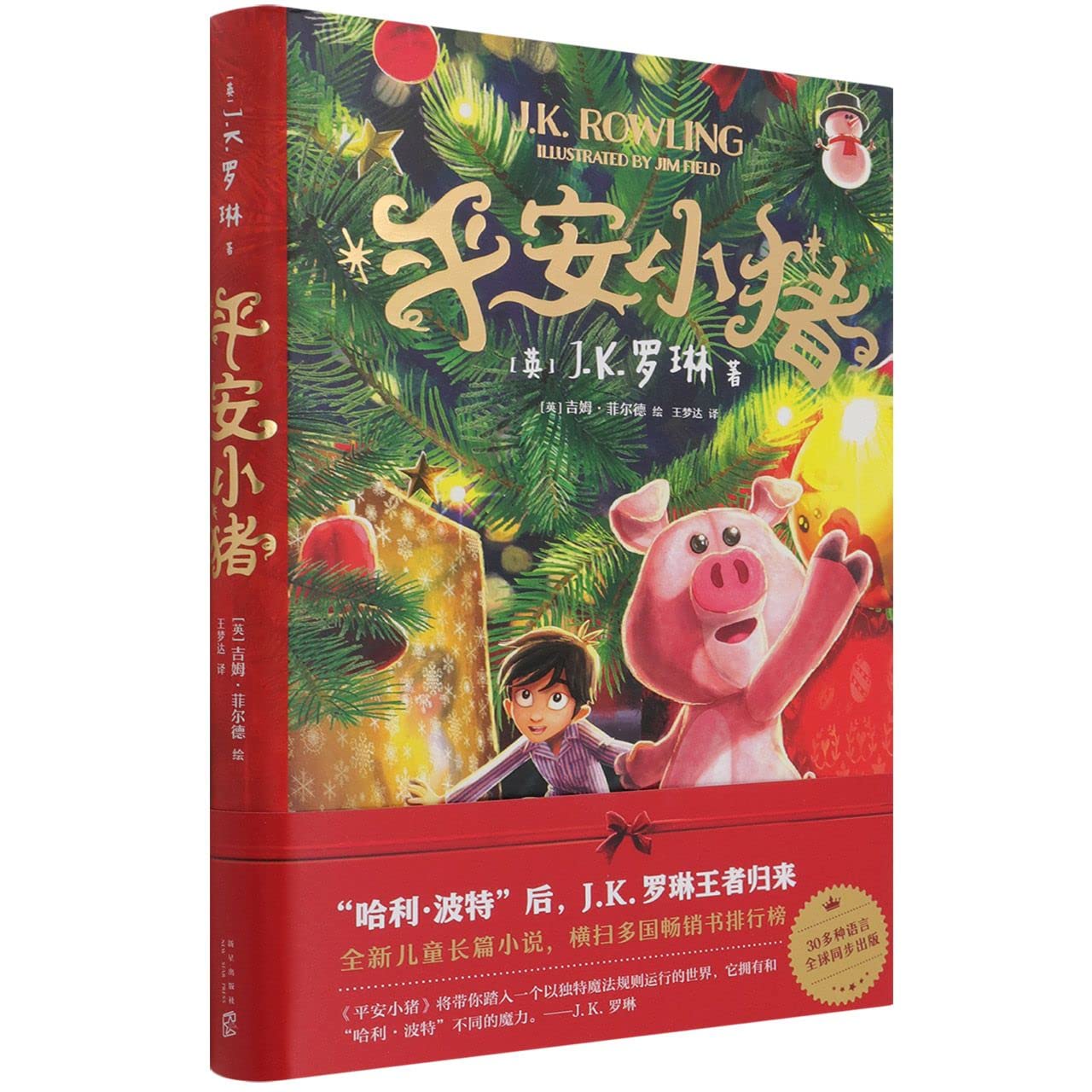 The Christmas Pig (Chinese Edition)