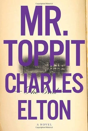 Mr. Toppit: a novel