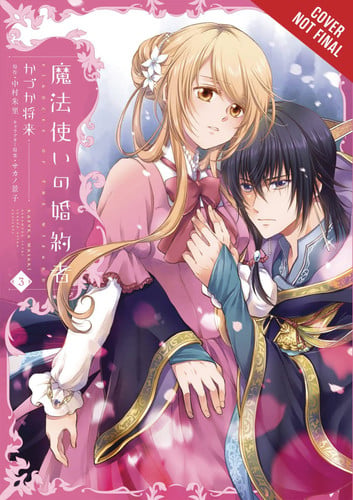 Fiancée of the Wizard, Vol. 3