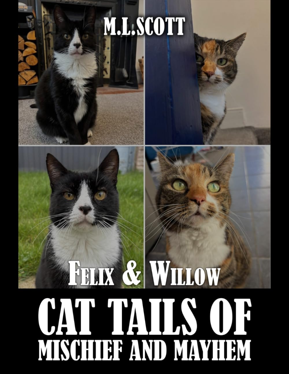 Felix & Willow cat tails of mischief and mayhem