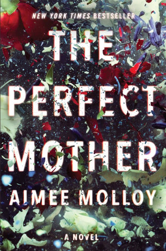 The perfect mother: a novel