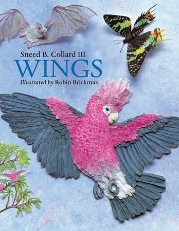 Wings