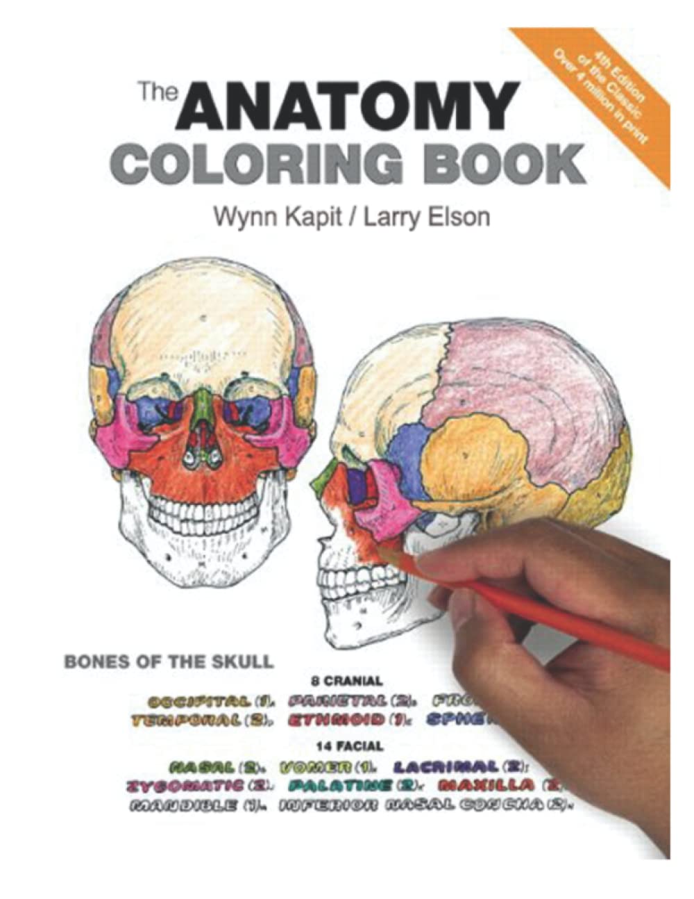 Anatomy 4th Edition: Bones ofthe skull - 8423