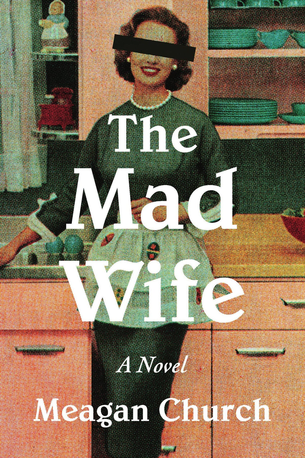 The Mad Wife A Novel