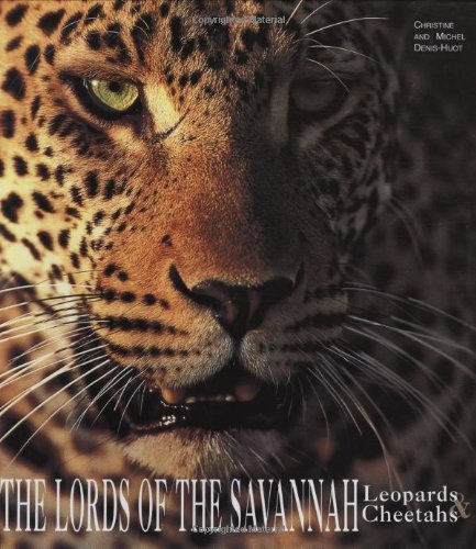 The Lords of the Savannah Leopards & Cheetahs