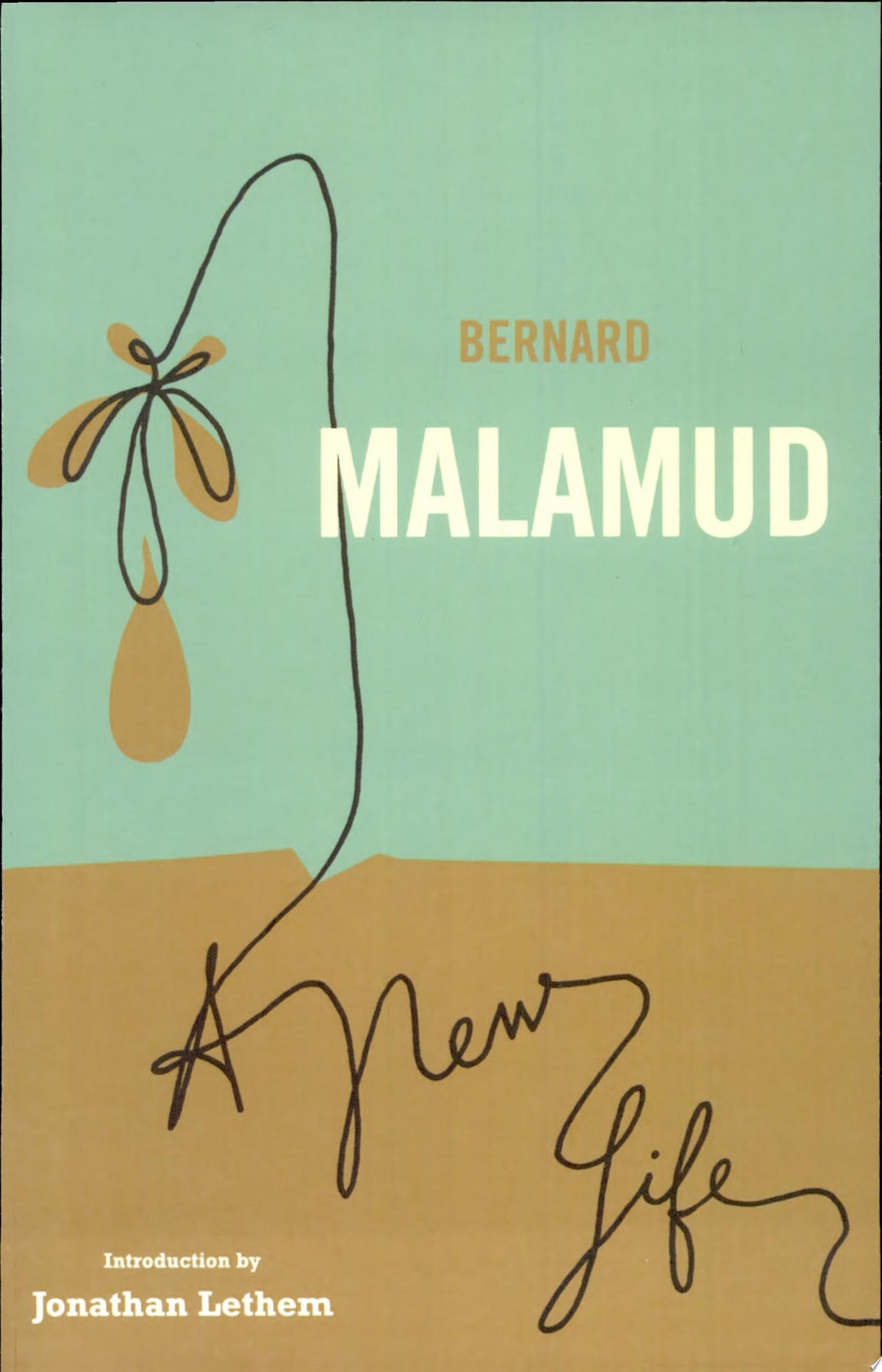 A New Life A Novel