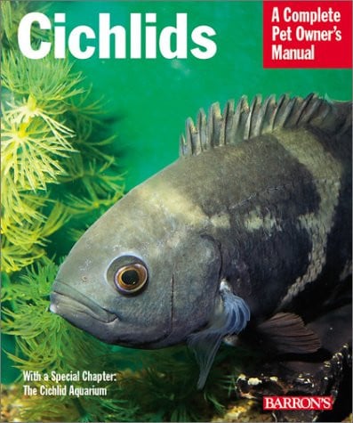 Cichlids: everything about purchase, care, nutrition, reproduction, and behavior